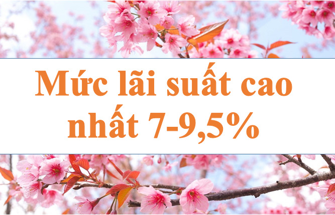 Mức lãi suất cao nhất lên đến 7-9,5%. Ảnh minh họa: Hà Vy
