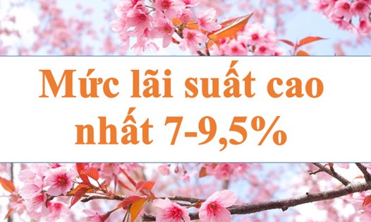 Mức lãi suất cao nhất lên đến 7-9,5%. Ảnh minh họa: Hà Vy