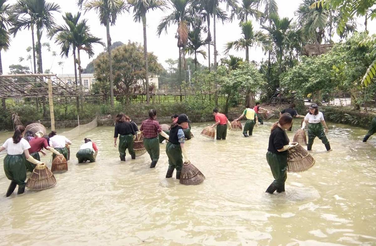 Thu hut nhieu khach du lich den tham quan trai nghiem cac hoat dong nong nghiep. 