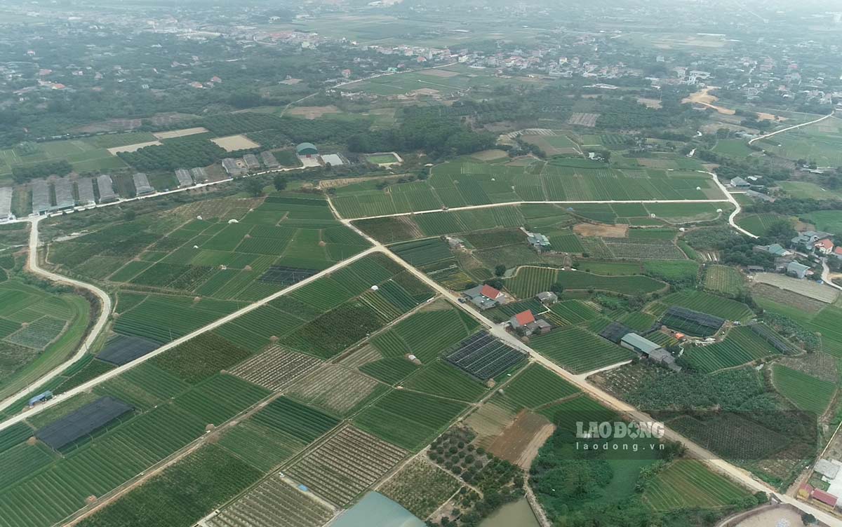 Dong Trieu la huyen nong thon moi dau tien cua mien Bac va cung la dia phuong co xa nong thon moi kieu mau dau tien cua ca nuoc (xa Viet Dan), dang huong toi tro thanh dia phuong cap huyen dau tien hoan thanh muc tieu nong thon moi kieu mau. Noi day noi tieng voi nhung canh dong rong lon sau khi don dien doi thua nhung nam gan day.