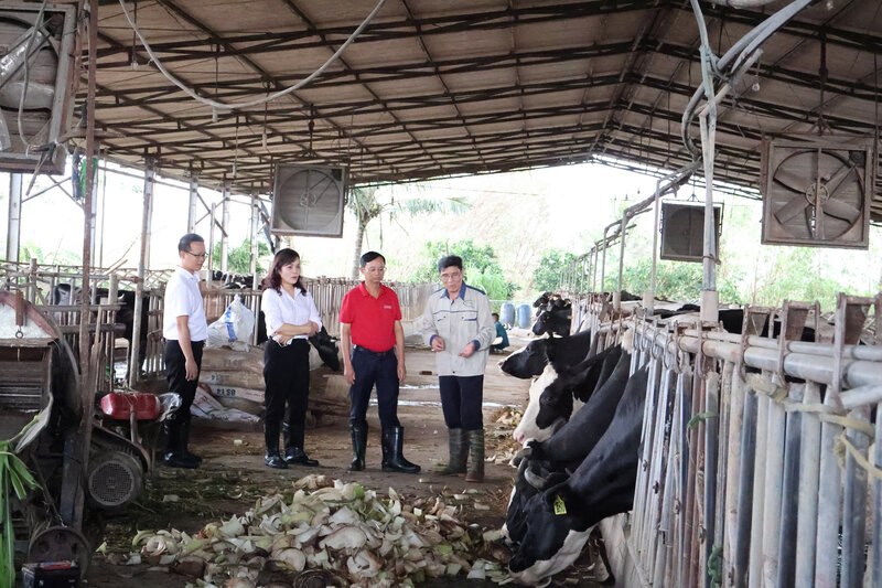 Agribank reduces loan interest rates for customers affected by storms. Photo: Agribank.