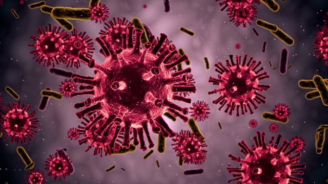 When infected with "flesh-eating" bacteria, if left untreated, there is a high risk of death. Photo: BSCC