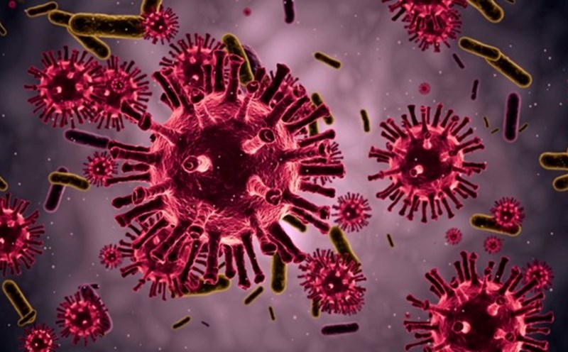 When infected with "flesh-eating" bacteria, if left untreated, there is a high risk of death. Photo: BSCC