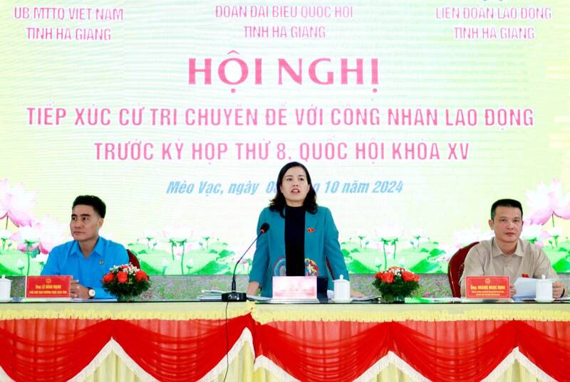 Cac dai bieu tham du hoi nghi. Anh: LDLD Ha Giang