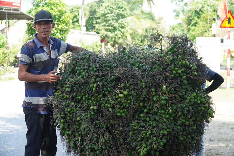 Voi gia cau nhu hien nay, ban 1 ta cau, nong dan Quang Ngai mua duoc 1 chi vang. Anh: Vien Nguyen