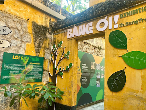 Khong gian trung bay duoc thiet ke theo bang mau chu dao voi sac xanh - vang
