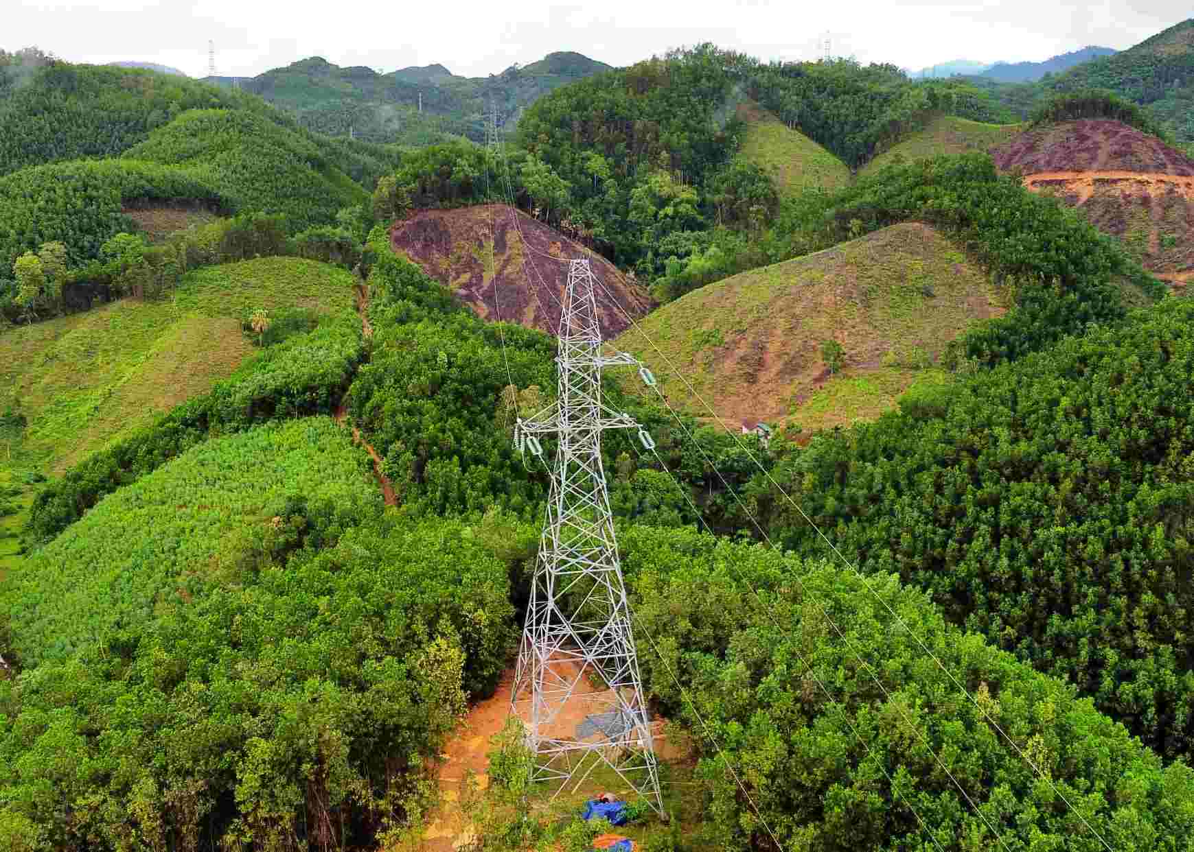 Công ty Cổ phần Thủy điện Đạt Phương Sơn Trà xây dựng 64 trụ điện trái phép trên địa bàn 2 huyện Sơn Hà và Sơn Tây, tỉnh Quảng Ngãi. Ảnh: Viên Nguyễn