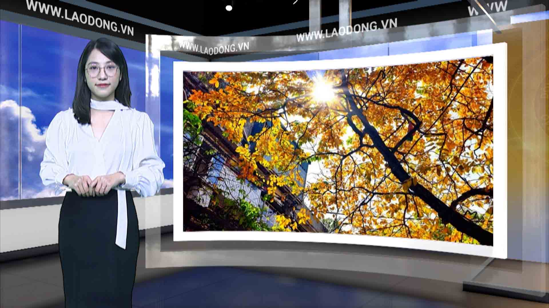 Weather forecast tonight and tomorrow 11.10