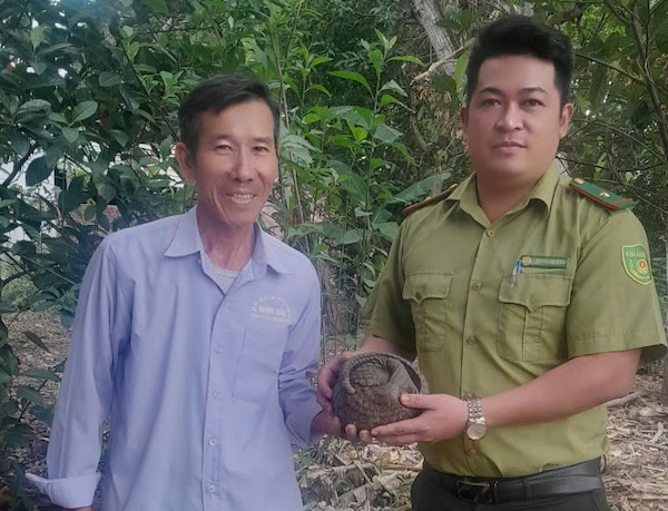 Handing over 3 rare wild animals to the Da Nang Forest Ranger Branch. Photo: Da Nang Forest Ranger