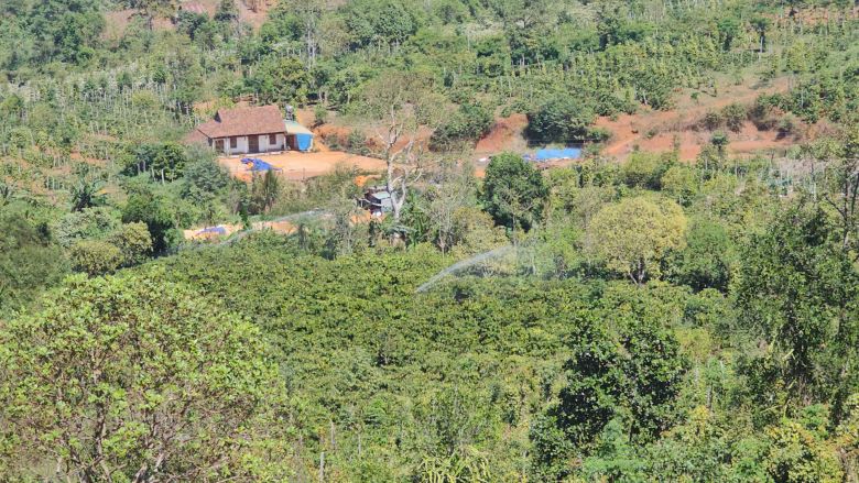 Bauxite planning accounts for nearly 1/3 of Dak Nong province's natural area. Photo: Thanh Quynh