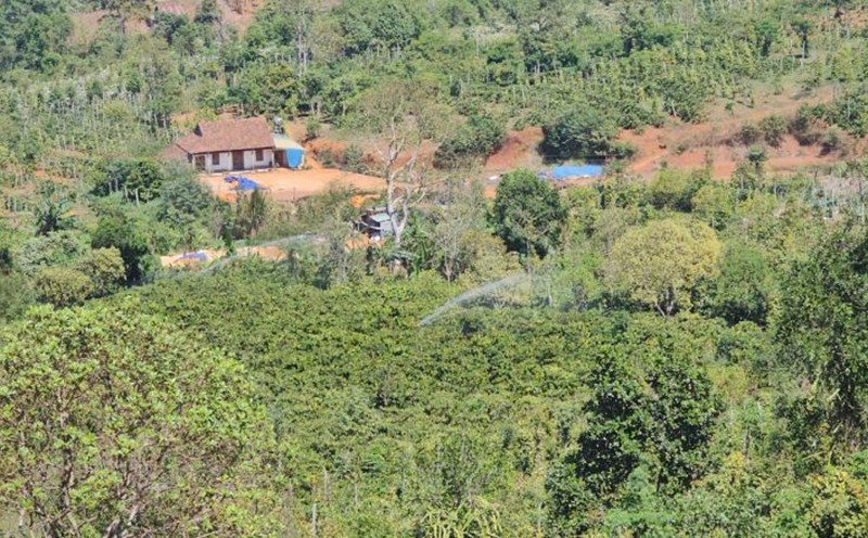 Hoàn trả hơn 100ha đất sau khai thác bô xít ở Đắk Nông