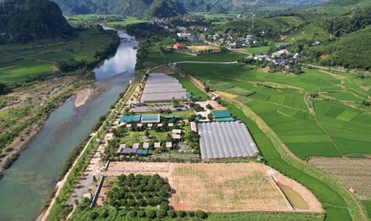 Toàn cảnh khu du lịch An Bình Glamping với mô hình trồng Nho Sữa tiên phong của huyện Kim Bôi, quy mô lớn nhất tỉnh Hoà Bình. Ảnh: An Bình