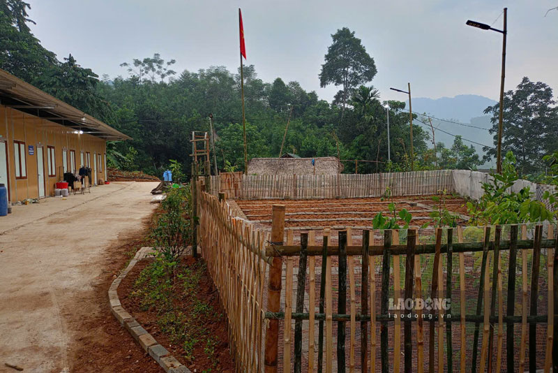 Nhung luong rau xanh roi se moc len o khu tam cu thon Lang Nu. Anh: Dinh Dai