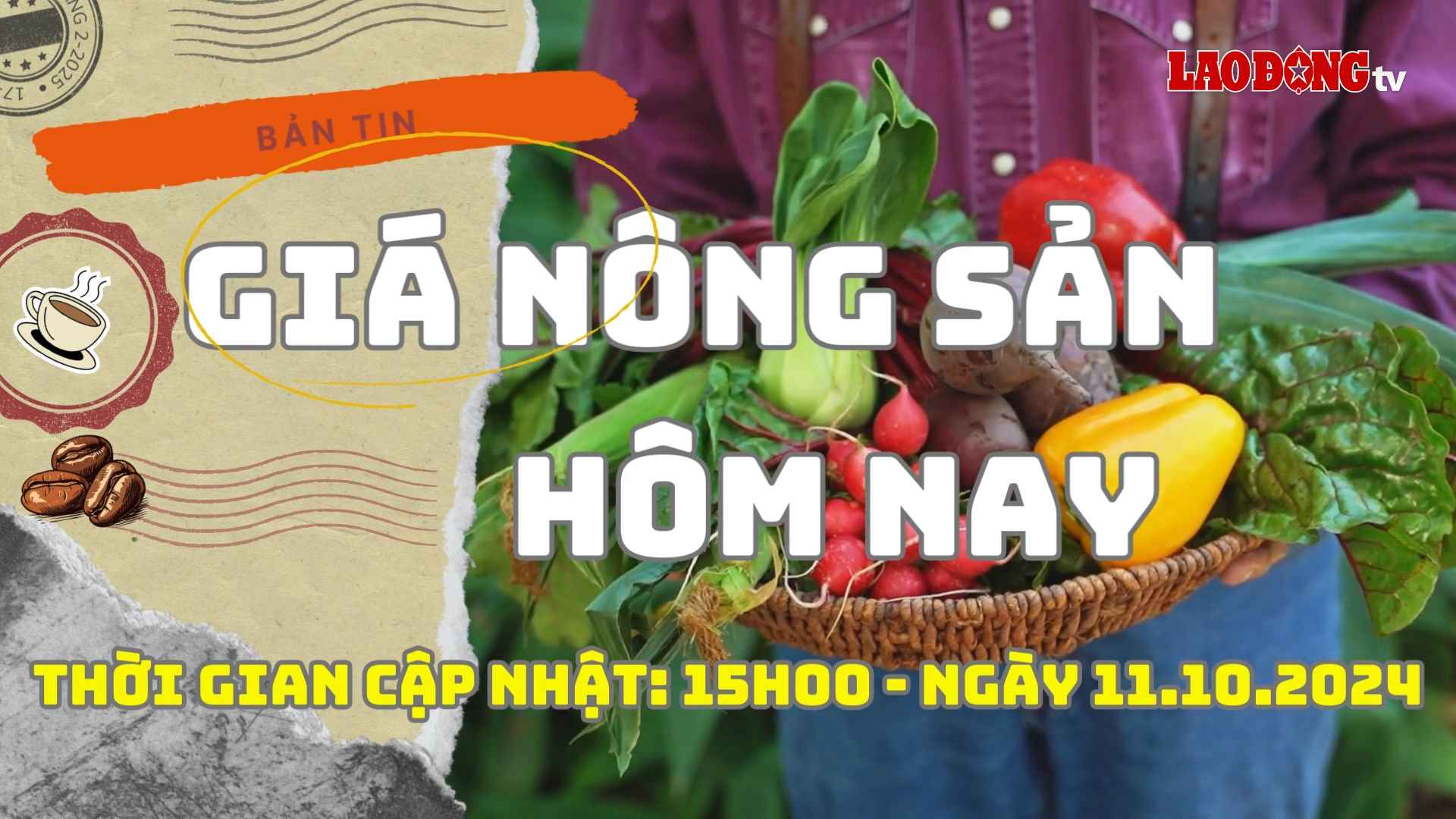 Giá nông sản hôm nay ngày 11.10.2024. Ảnh: Phan Tuấn