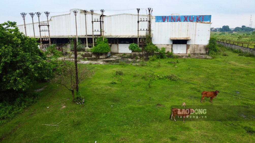 A series of billion-dollar automobile factories in the northern mountainous region are in ruins and have stopped construction. Photo: Viet Bac.