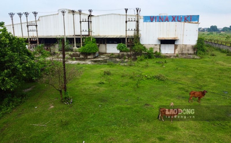 A series of billion-dollar automobile factories in the northern mountainous region are in ruins and have stopped construction. Photo: Viet Bac.