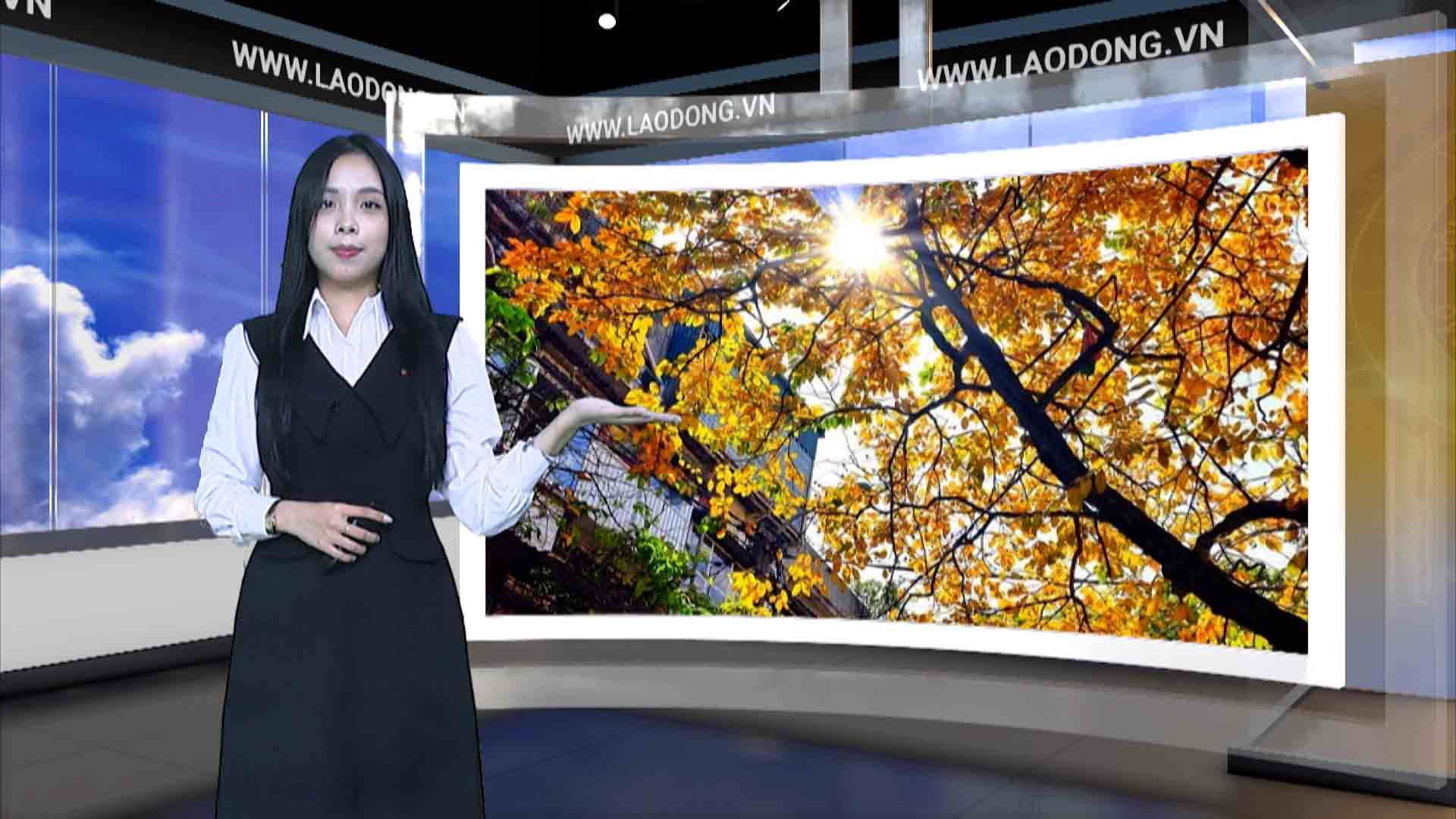 Weather forecast tonight and tomorrow 10/12