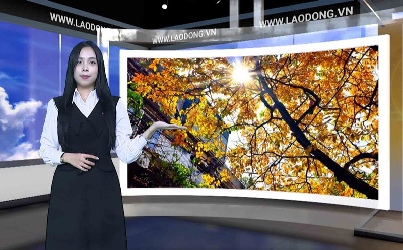 Weather forecast tonight and tomorrow 10/12