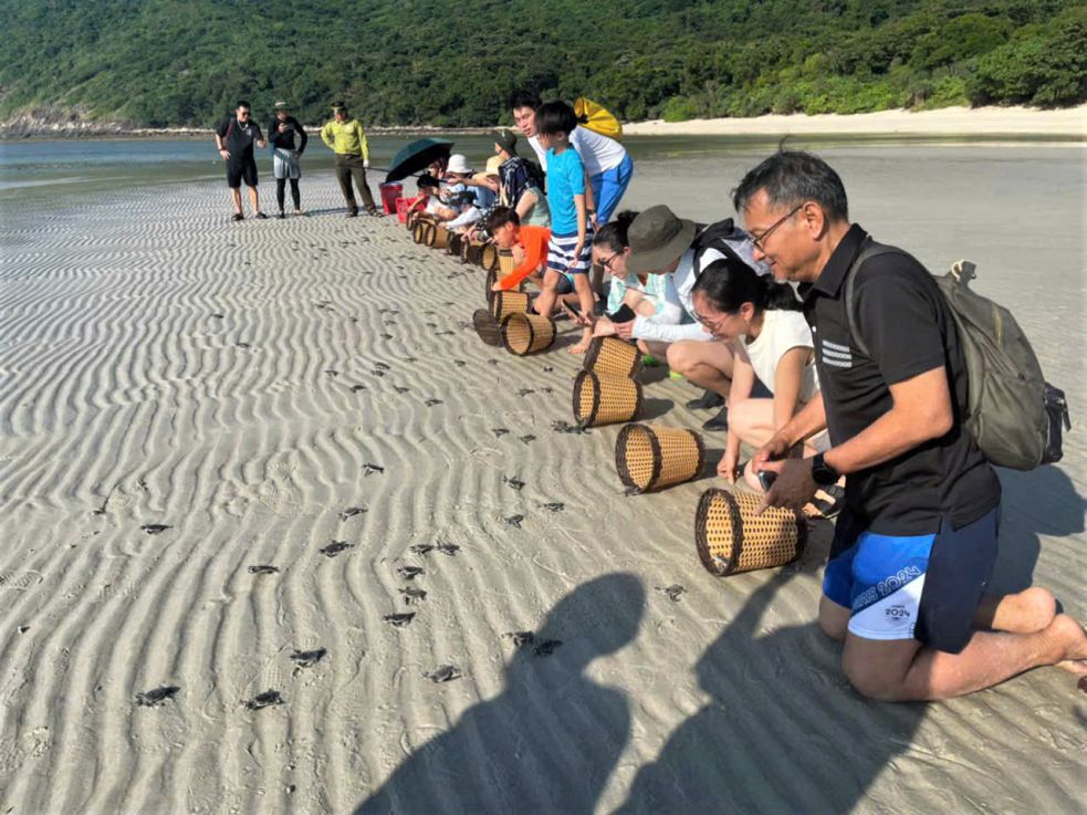 Experience releasing sea turtles in Con Dao. Photo: Ai Van