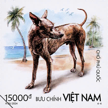 Image of Phu Quoc dog on stamp. Photo: Vietnam Post Corporation