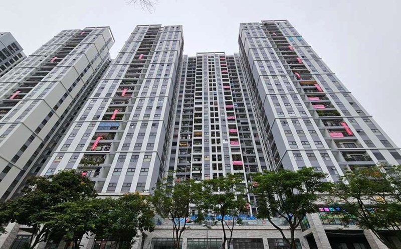 Many violations in land management when implementing the housing and office complex project invested by Phuong Dong Investment Company Limited. Photo: Thien Phan.