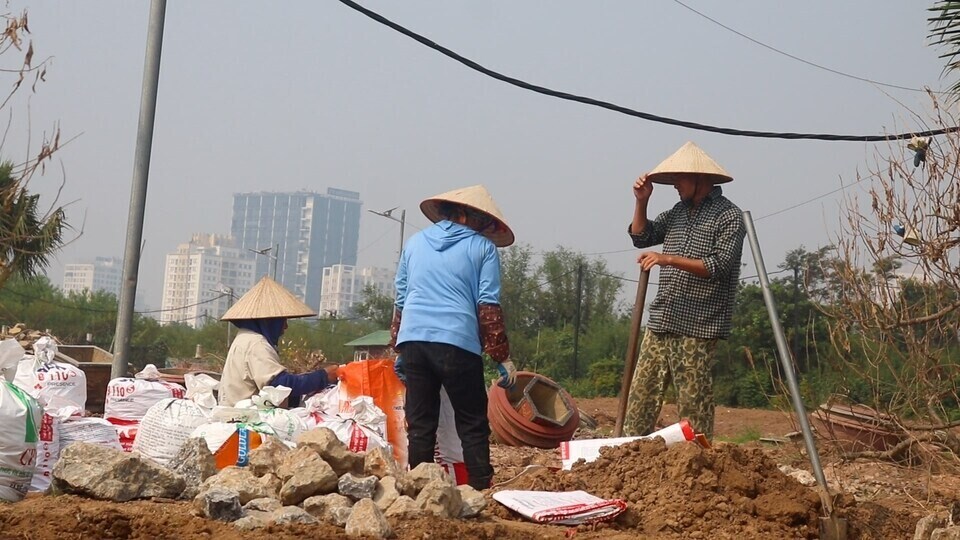 Peach growers spend hundreds of millions to improve soil after storm Yagi