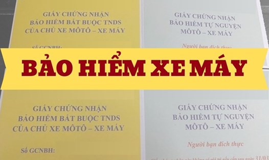 Không có bảo hiểm xe máy vẫn bị đề xuất xử phạt. Đồ họa: Quỳnh Anh
