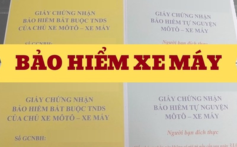 No motorbike insurance is still proposed to be punished. Graphics: Quynh Anh