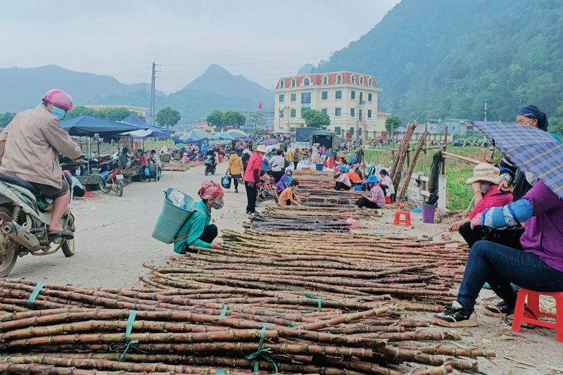 Chợ Mường Khương nằm ở trung tâm huyện, chợ thường họp vào cuối tuần. 