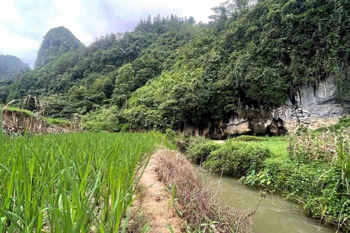 Tu khi duoc cong nhan la danh thang cap quoc gia den nay, dong Ham Rong chua duoc dau tu bai ban, duong di vao van kho khan. Anh: Dinh Dai 