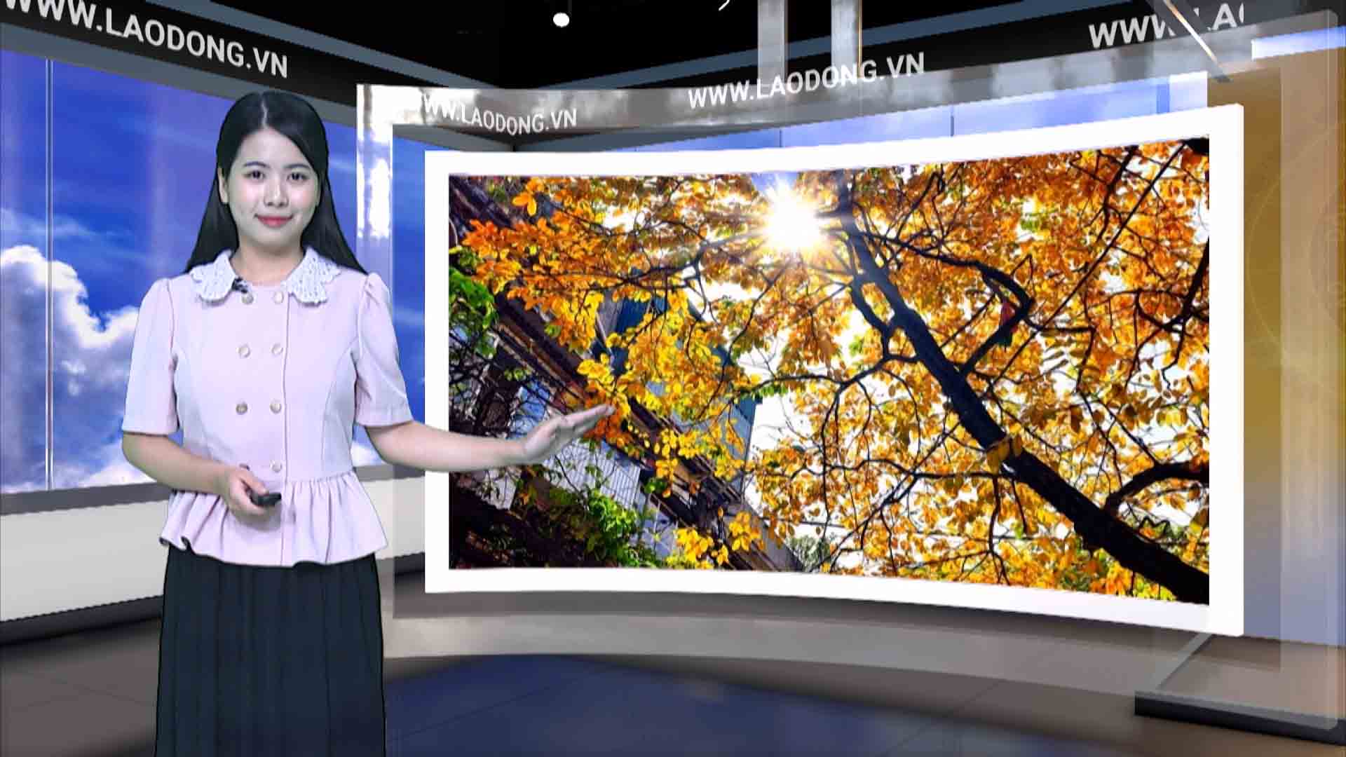 Weather forecast tonight and tomorrow 10/14