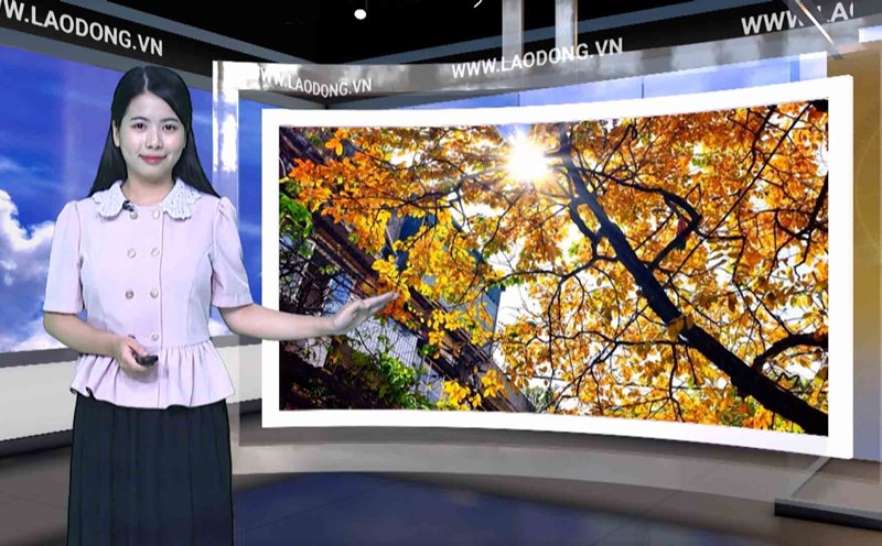 Weather forecast tonight and tomorrow 10/14
