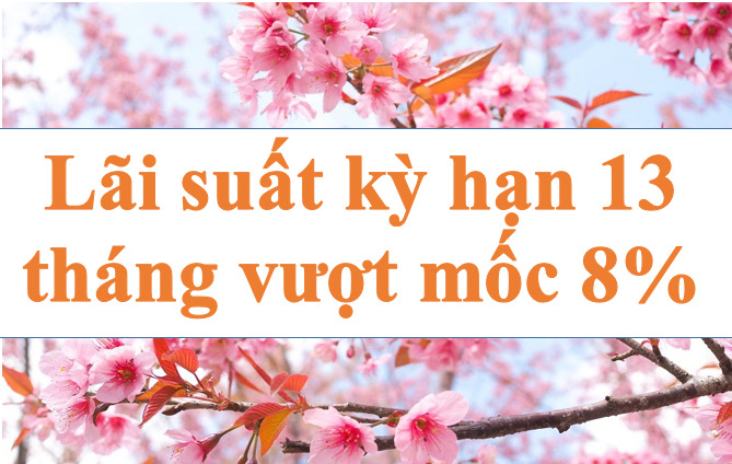 Interest Rate for 13-month term exceeds 8%. Illustration photo: Ha Vy