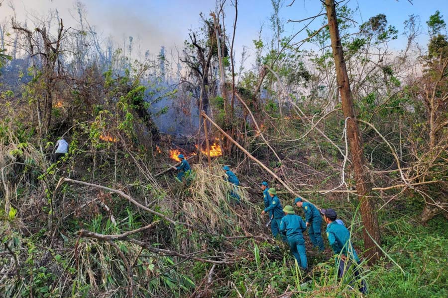 Functional forces participate in fire fighting in Thang Loi commune, Van Don district, Quang Ninh province. Photo: Bui Son
