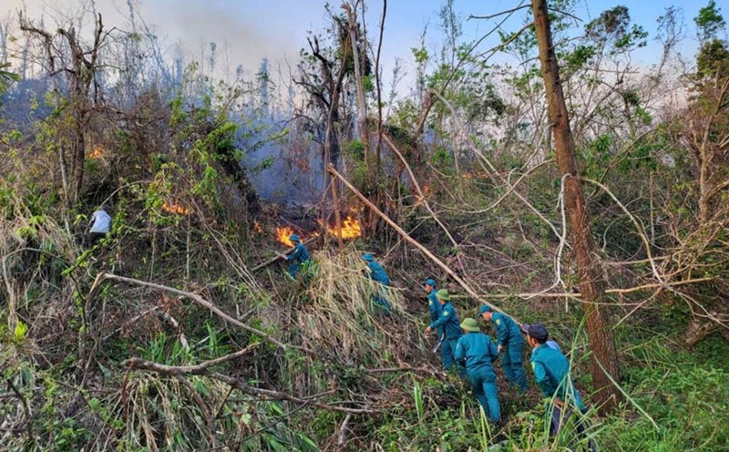 Functional forces participate in fire fighting in Thang Loi commune, Van Don district, Quang Ninh province. Photo: Bui Son