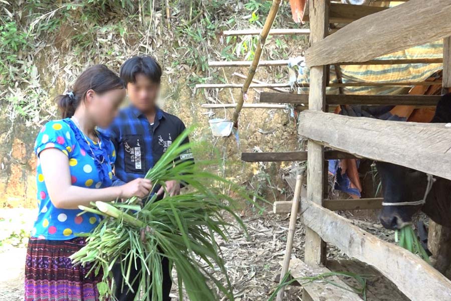 S.A.V couple gave up their unfinished dreams after entering married life. Photo: Lan Anh