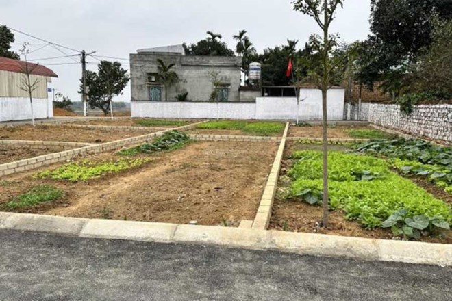 Many investors in the land segment in the suburbs of Hanoi have not been able to make profits as expected. Photo: Batdongsan.com.vn