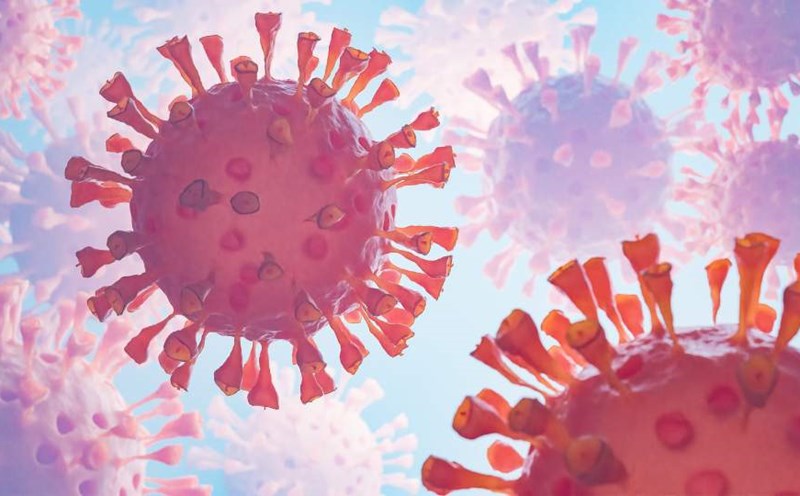 Virus Marburg diễn biến phức tạp, tỉ lệ tử vong cao. Đồ hoạ: Phương Anh