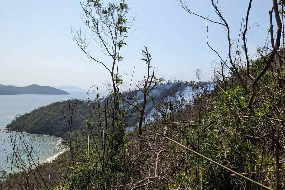 Forest fire on Ngoc Vung island, Van Don district, Quang Ninh province. Photo: Dieu Hoang