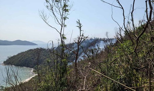 Cháy rừng tại đảo Ngọc Vừng, huyện Vân Đồn, tỉnh Quảng Ninh. Ảnh: Diệu Hoàng