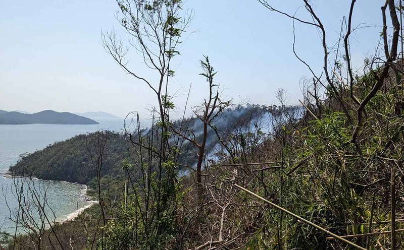 Forest fire on Ngoc Vung island, Van Don district, Quang Ninh province. Photo: Dieu Hoang