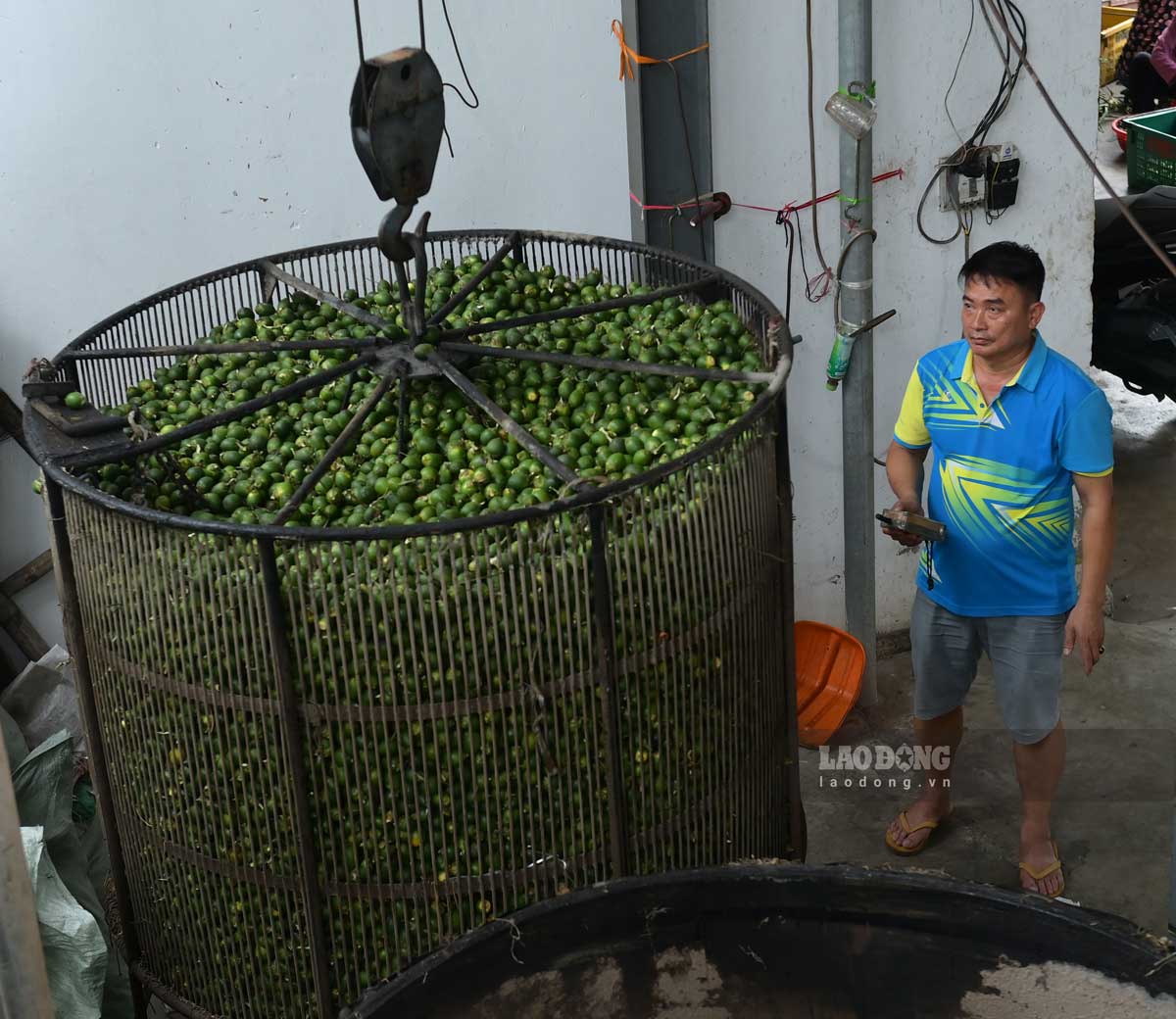 Cau sau khi ngắt từng quả khỏi chùm sẽ được luộc từ 40 - 60 phút. Ảnh: Lương Hà