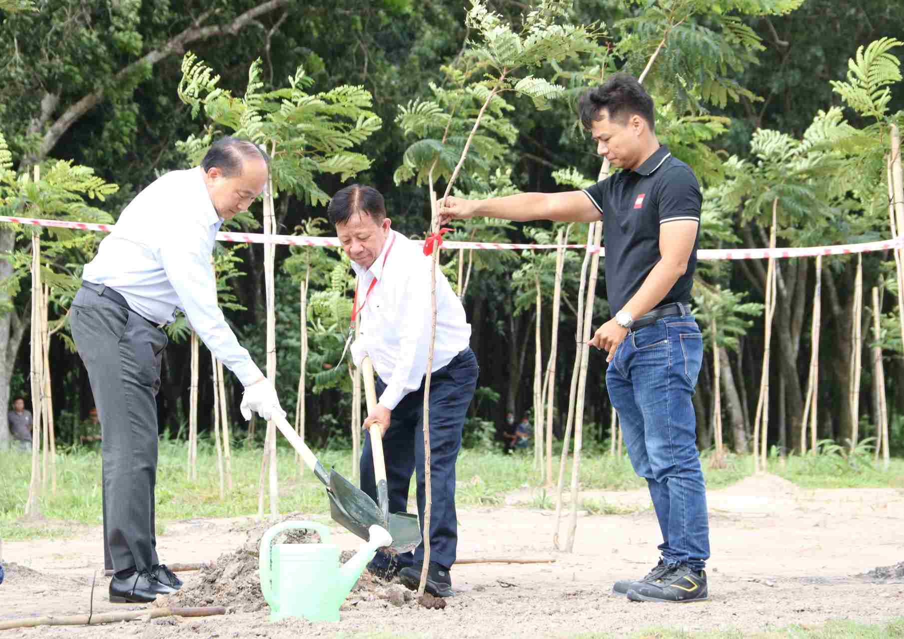 Nha dau tu trong cay xanh 