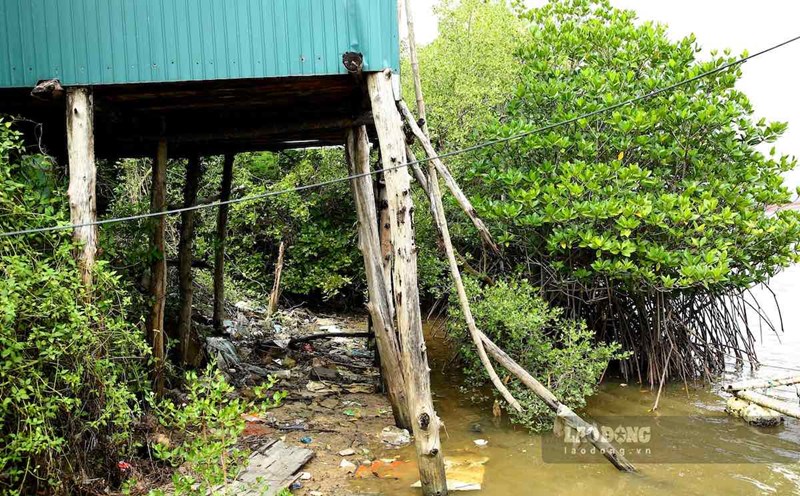 Land and gardens of people in Quang Binh were swallowed by the "river god". Photo: Cong Sang