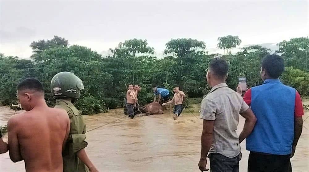 Floodwaters cause damage to people. Photo: Hoai Thanh