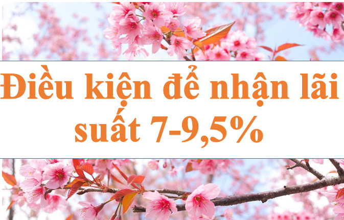 What are the conditions to receive interest rate of 7-9.5%/year? Illustration photo; Ha Vy