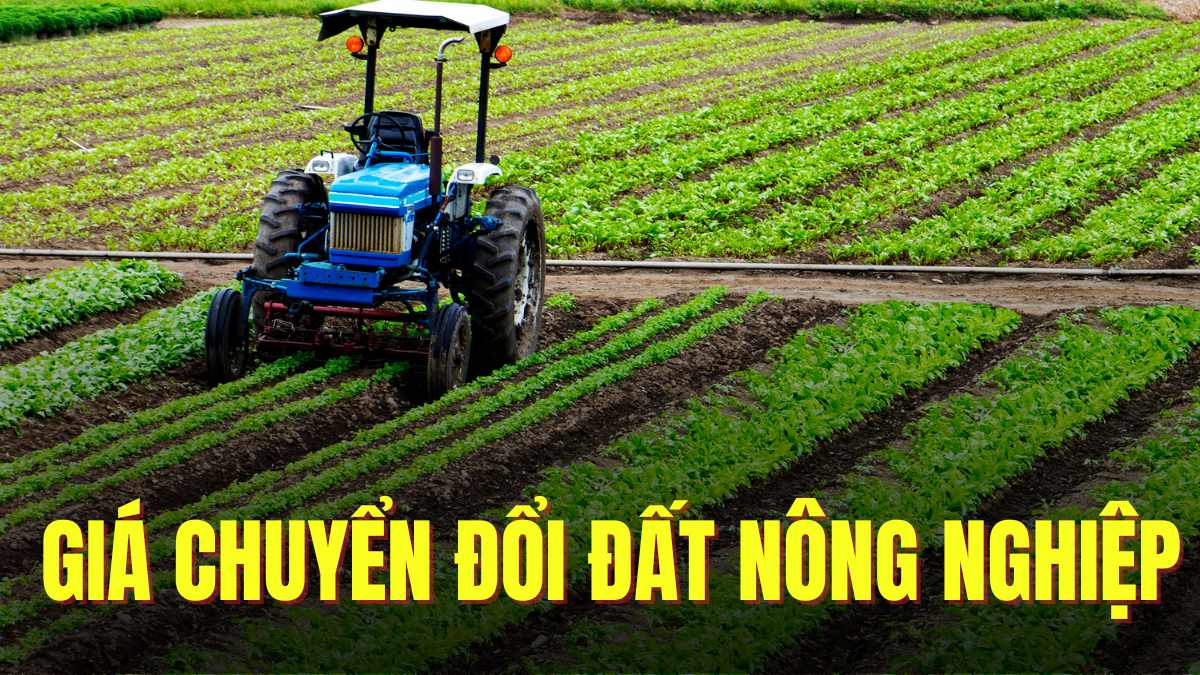 Khi chuyển đất nông nghiệp lên đất thổ cư, người dân sẽ phải nộp 4 khoản phí cơ bản. Đồ hoạ: Trà My