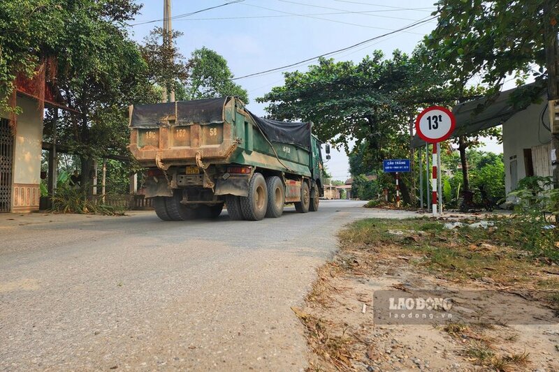 Voi nhung cay cau khac nhu cay cau Trang tren duong tinh 323 thuoc dia phan xa An Dao, huyen Phu Ninh, du khong anh huong tu vu sap cau Phong Chau, nhung voi vi tri nam tren tuyen duong de song Lo noi co hang loat ben cang, ben thuy noi dia doc song, thuong ngay van phai oan minh “cong” rat nhieu luot xe tai co lon, xe dau keo.  