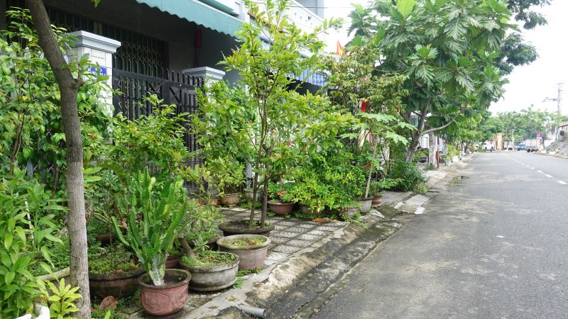 Degraded sidewalks and blocked drainage in Da Nang. Photo: Tran Thi