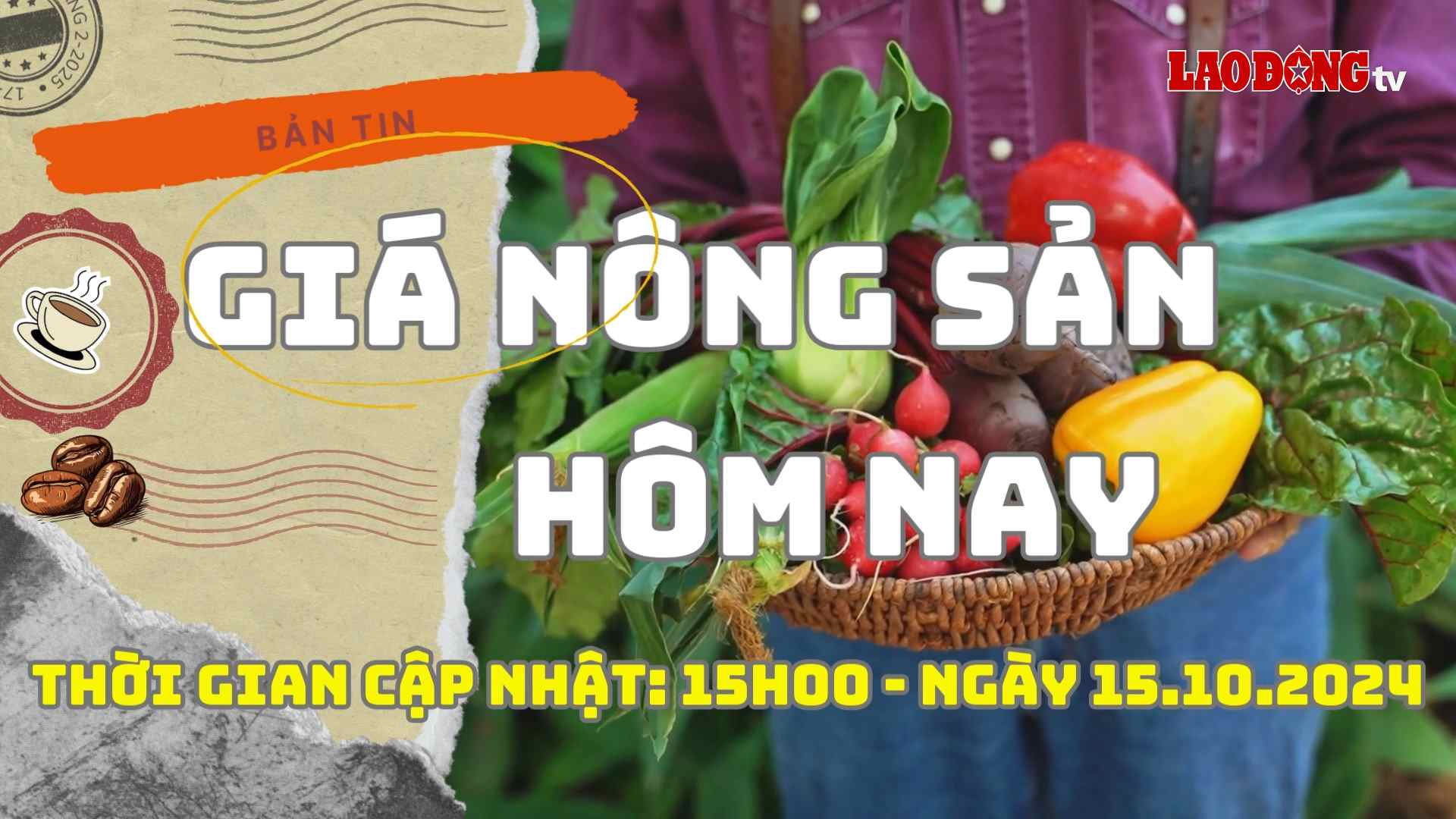 Today's Agricultural Prices 15.10.2024. Photo: Phan Tuan